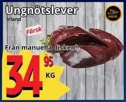 Supergrossen Ungnötslever erbjuda