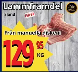 Supergrossen Lammframdel erbjuda
