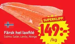 Nya Pulsen Färsk hel laxfilé erbjuda