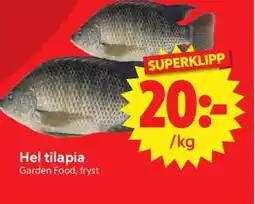 Nya Pulsen Hel tilapia erbjuda