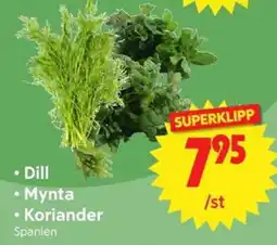 Nya Pulsen Dill • Mynta • Koriander erbjuda