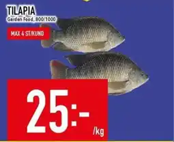 Matdax Tilapia erbjuda
