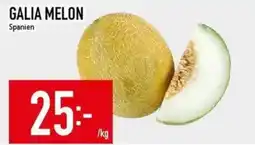 Matdax Galia melon erbjuda