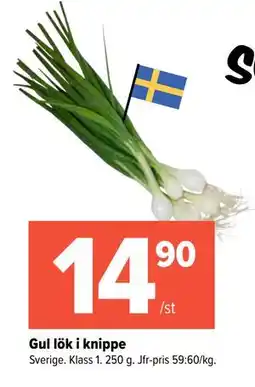 Coop Extra Gul lök i knippe erbjuda