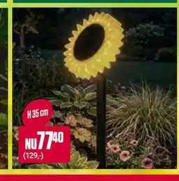 ÖoB Solar sunflower lamp erbjuda