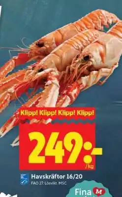 ICA Supermarket Havskräftor 16/20 erbjuda