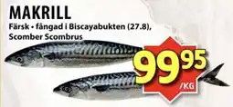 Matvärlden Tensta Makrill erbjuda