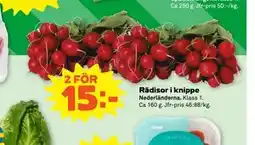 Stora Coop Rädisor i knippe erbjuda