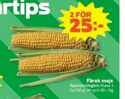 Stora Coop Färsk majs erbjuda