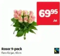 Hemköp Rosor 9-pack erbjuda