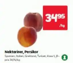 Hemköp Nektariner, Persikor erbjuda