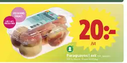 ICA Nära Paraguayos i ask ICA. Spanien. erbjuda