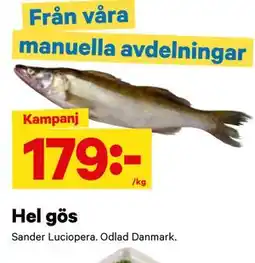 City Gross Hel gös erbjuda