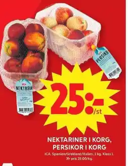 ICA Maxi ICA Nektariner i korg, persikor i korg erbjuda