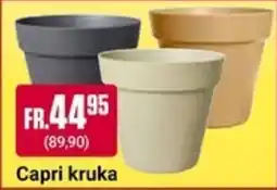 ÖoB Capri kruka erbjuda