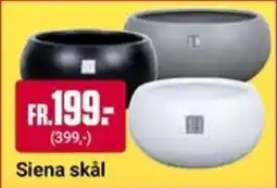 ÖoB Siena skål erbjuda