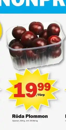 Pekås Röda Plommon erbjuda