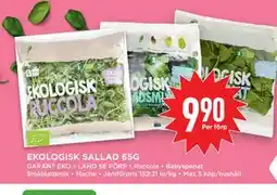 Willys EKOLOGISK SALLAD 65G erbjuda