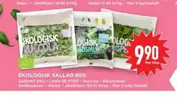 Willys Hemma EKOLOGISK SALLAD 65G erbjuda