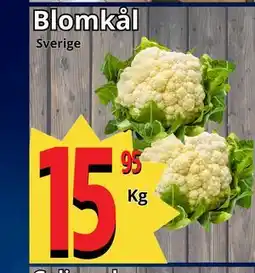 Supergrossen Blomkål erbjuda