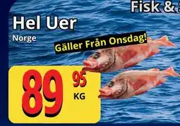 Supergrossen Hel Uer erbjuda