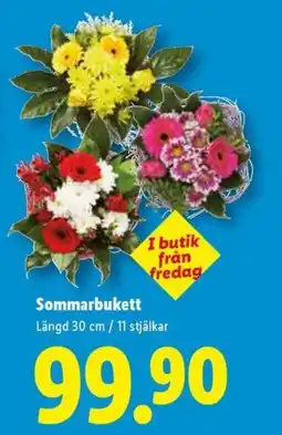 Lidl Sommarbukett erbjuda