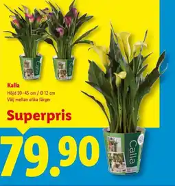 Lidl Kalla erbjuda