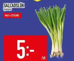 Matdax Salladslök erbjuda