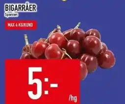 Matdax Bigarråer erbjuda