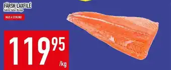 Matdax Färsk laxfilé erbjuda