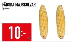 Matdax Färska majskolvar erbjuda