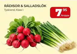 Matrix Butikerna Rädisor & salladslök erbjuda