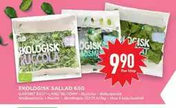 Willys EKOLIGISK SALLAD 65G erbjuda