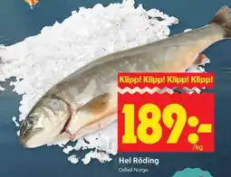 ICA Supermarket Hel Röding erbjuda