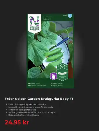 Fröer Nelson Garden Krukgurka Baby F1