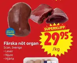 Nya Pulsen Färska nöt organ erbjuda