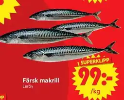 Nya Pulsen Färsk makrill erbjuda