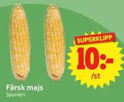 Nya Pulsen Färsk majs erbjuda
