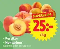 Nya Pulsen Persikor • Nektariner erbjuda