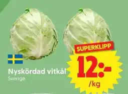 Nya Pulsen Nyskördad vitkål erbjuda