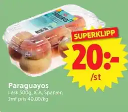 Nya Pulsen ICA Paraguayos erbjuda
