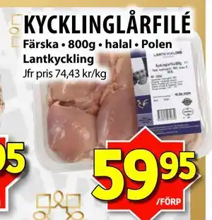 KYCKLINGLÅRFILÉ