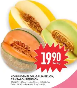 Willys Hemma Honungsmelon, galiamelon, cantaloupemelon erbjuda