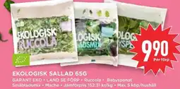Willys Hemma Garant Ekologisk sallad erbjuda