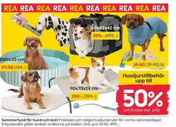 Rusta Sommarfynd för hund och katt erbjuda