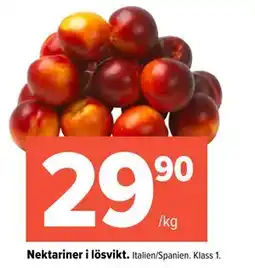 Coop Extra Nektariner i lösvikt erbjuda