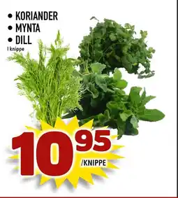 Rinkeby Matcenter Koriander, mynta, dill erbjuda