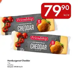 Snabbgross Hamburgerost Cheddar erbjuda