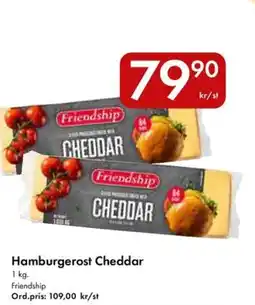 Snabbgross Hamburgerost Cheddar erbjuda