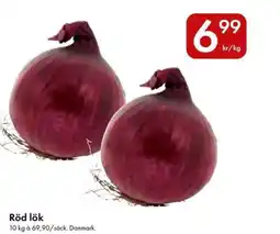 Snabbgross Röd lök erbjuda